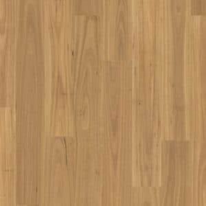 Premium Floors Clix XL Natural Blackbutt