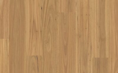 Premium Floors Clix XL Laminate Natural Blackbutt