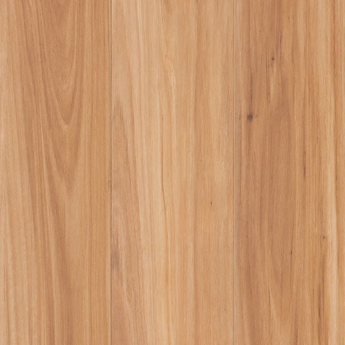 Terra Mater Floors NuCore Excellence Laminate Coastal Blackbutt Matte - Online Flooring Store