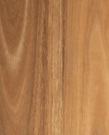 Eclipse Australis Largo Engineered Timber Flooring Spotted Gum - Online Flooring Store
