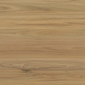 Clever Choice Shield Everlast Atlantic Blackbutt