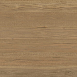 Clever Choice Shield Everlast Atlantic Spotted Gum