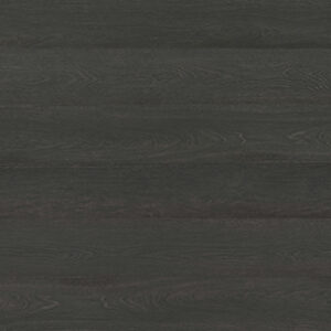 Clever Choice Shield Everlast Black Mussel