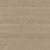 Clever Choice Shield Everlast Laminate Coffee Bean Trivia
