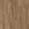 Sunstar Maxi Smooth Hybrid Coastal Spotted Gum
