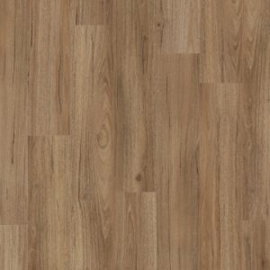 Sunstar Maxi Smooth Hybrid Coastal Spotted Gum