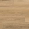 Eclipse Natural Elements Vinyl Plank Danube