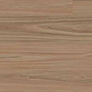 Clever Choice Enchanted Hybrid Hylia Blackbutt