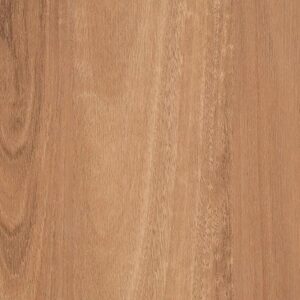 Australian Select Timbers Tahoma 2.5 Avoca Spotted Gum