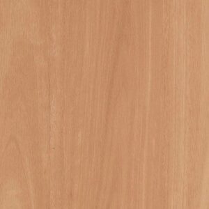 Australian Select Timbers Tahoma 2.5 Vinyl Plank Oberon Blackbutt