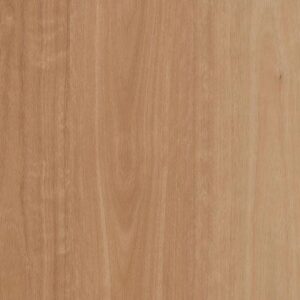 Australian Select Timbers Tahoma 4.5 Vinyl Plank Mirchison Blackbutt