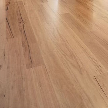 Eclipse Australis Terra Engineered Timber Flooring Blackbutt - Online Flooring Store