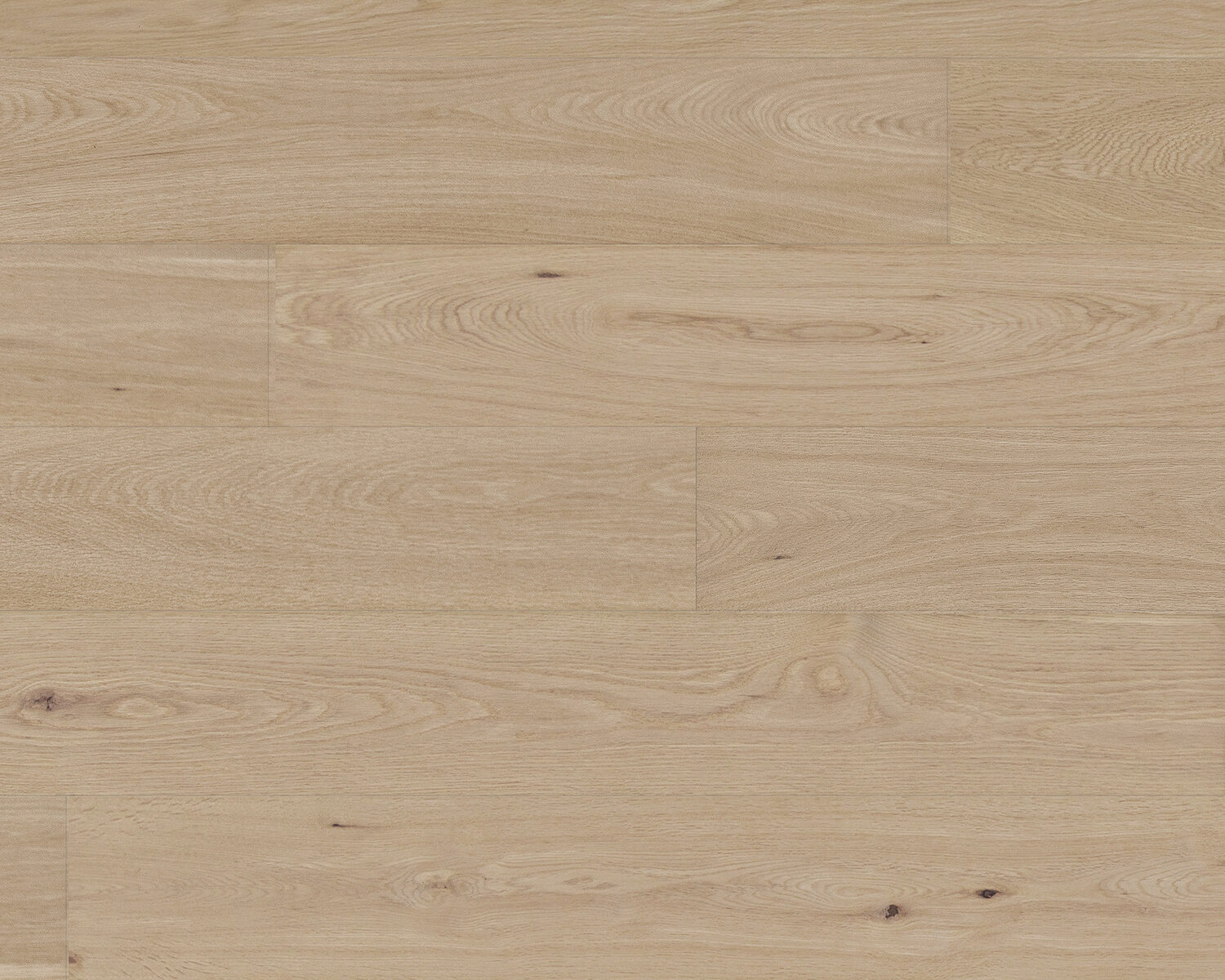 Terra Mater WildOak Odo Engineered Timber Invisible - Online Flooring Store