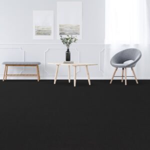 Airlay Elegance Raven