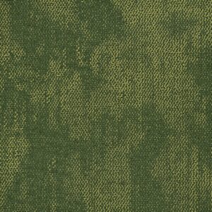 Airlay Mystique Astral Fern