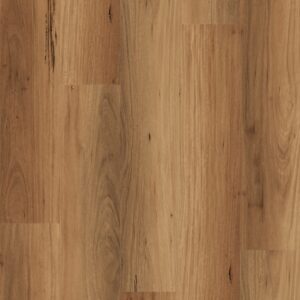 NFD Calloway LVP Frontier Blackbutt