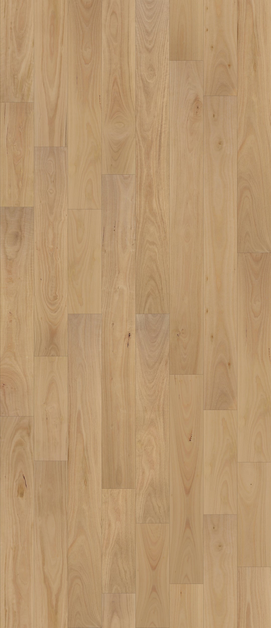 NFD Daintree XL Engineered Timber Blackbutt - Online Flooring Store