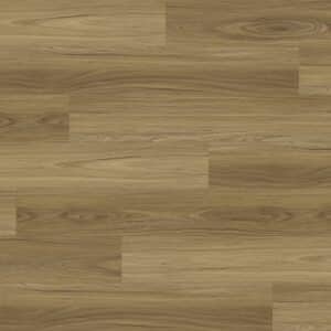 NFD Kalara Mountain Spotted Gum 018