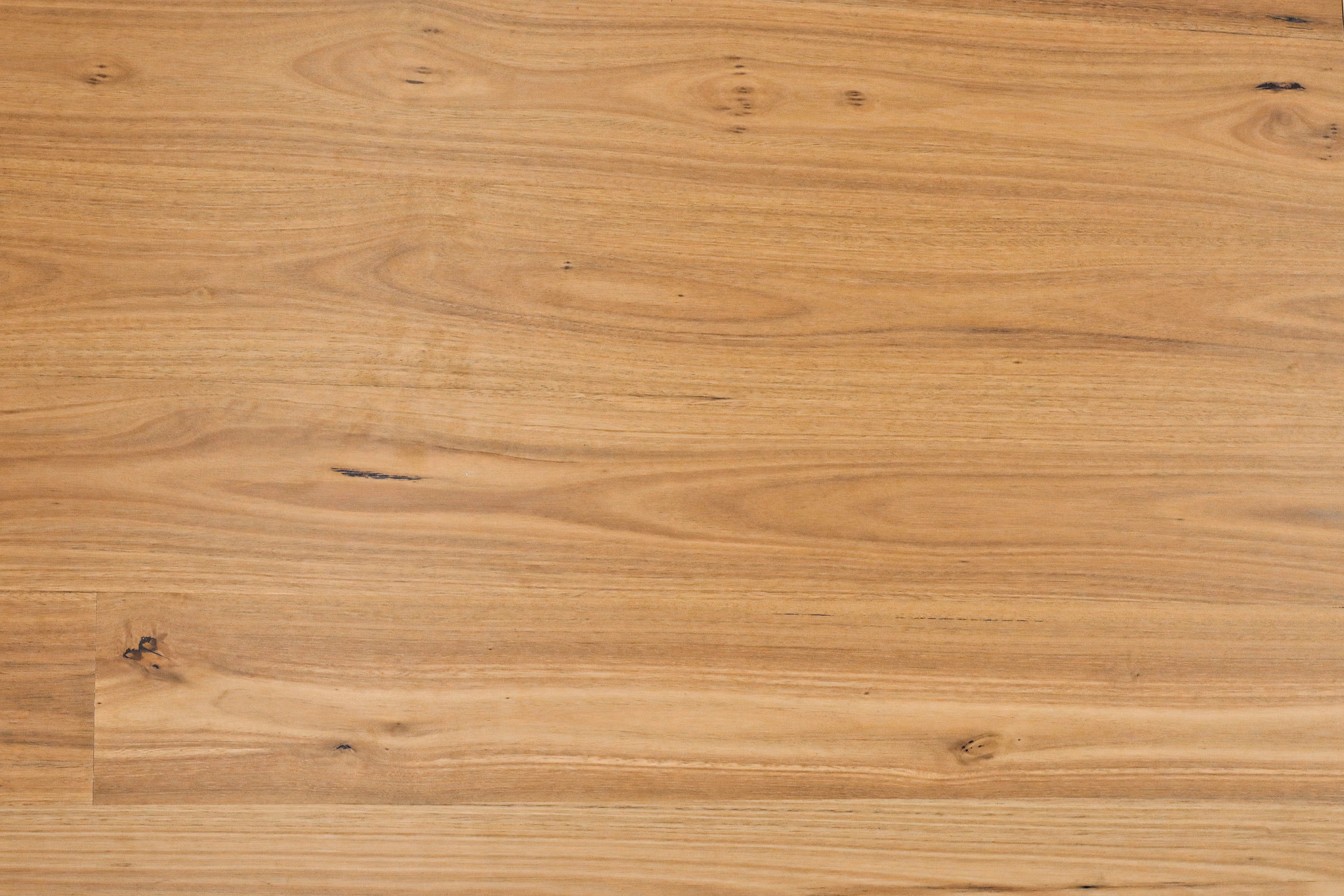 Sunstar Australian Hardwood Naturals Timber Blackbutt 190mm - Online Flooring Store